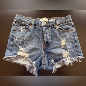 RE generation Celebrity Pink Beach Babe Distressed Denim Buttonfly Shorts 7/28